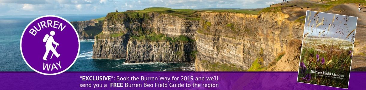 Burren Way Ireland