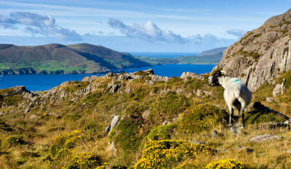 Beara Way Hiking Tour Ireland
