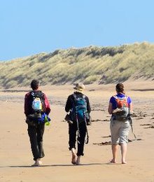 sandy_beaches_of_dingle.jpg