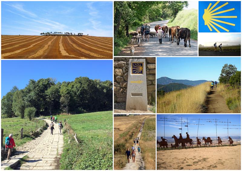 Camino de Santiago trail gallery