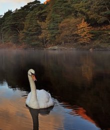 wicklow_way_glendalough.jpg